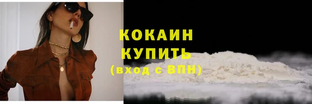 ПСИЛОЦИБИНОВЫЕ ГРИБЫ Вязьма