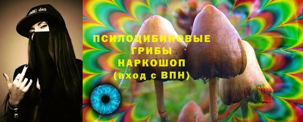 ПСИЛОЦИБИНОВЫЕ ГРИБЫ Вязьма