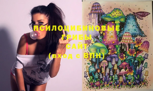 ПСИЛОЦИБИНОВЫЕ ГРИБЫ Вязьма